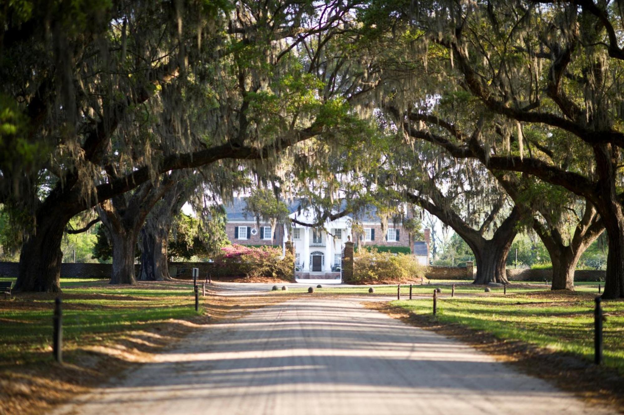 Hotel Indigo Charleston - Mount Pleasant, An Ihg Hotel Dış mekan fotoğraf